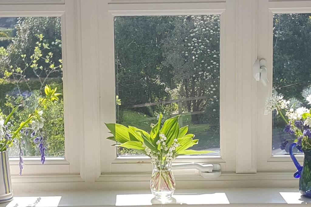 Bentley Rise Apartment Lyme Regis Bagian luar foto
