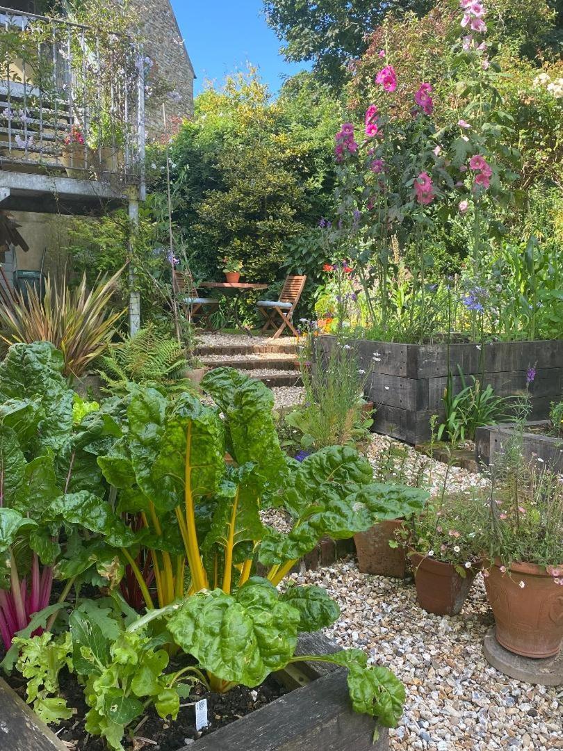 Bentley Rise Apartment Lyme Regis Bagian luar foto